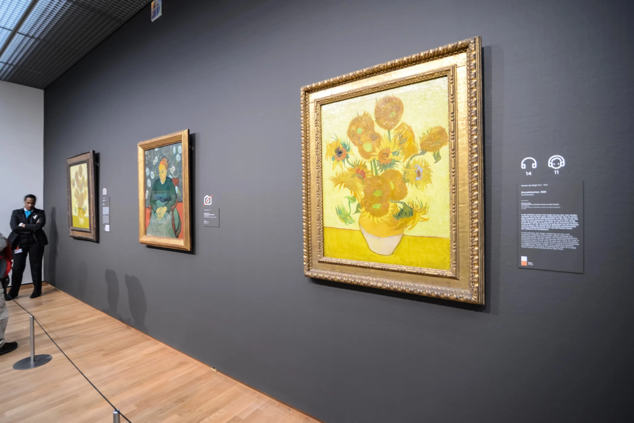 Sunflowers by Vincent Van Gogh in Van Gogh museum