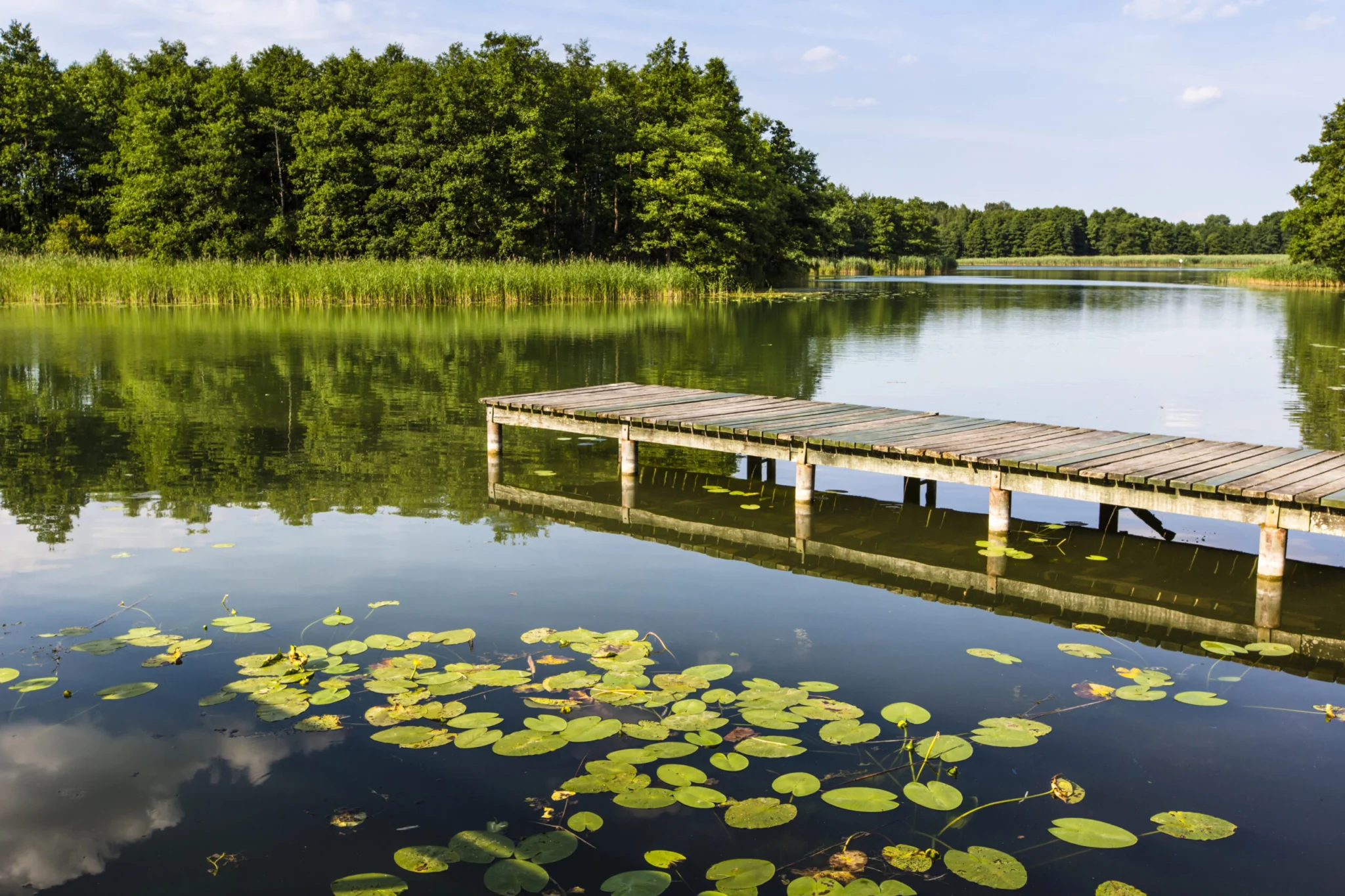 Wigierski Park Narodowy