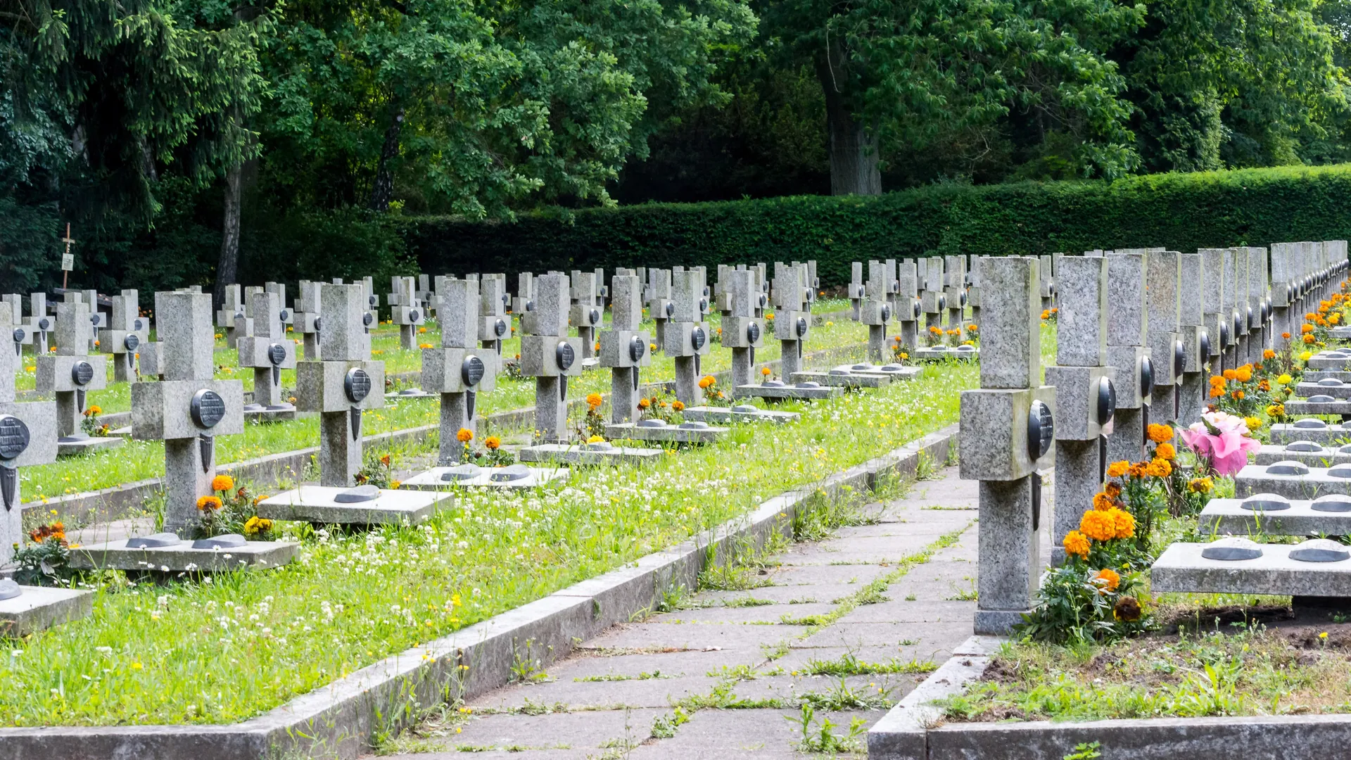 Cmentarz Centralny Szczecin