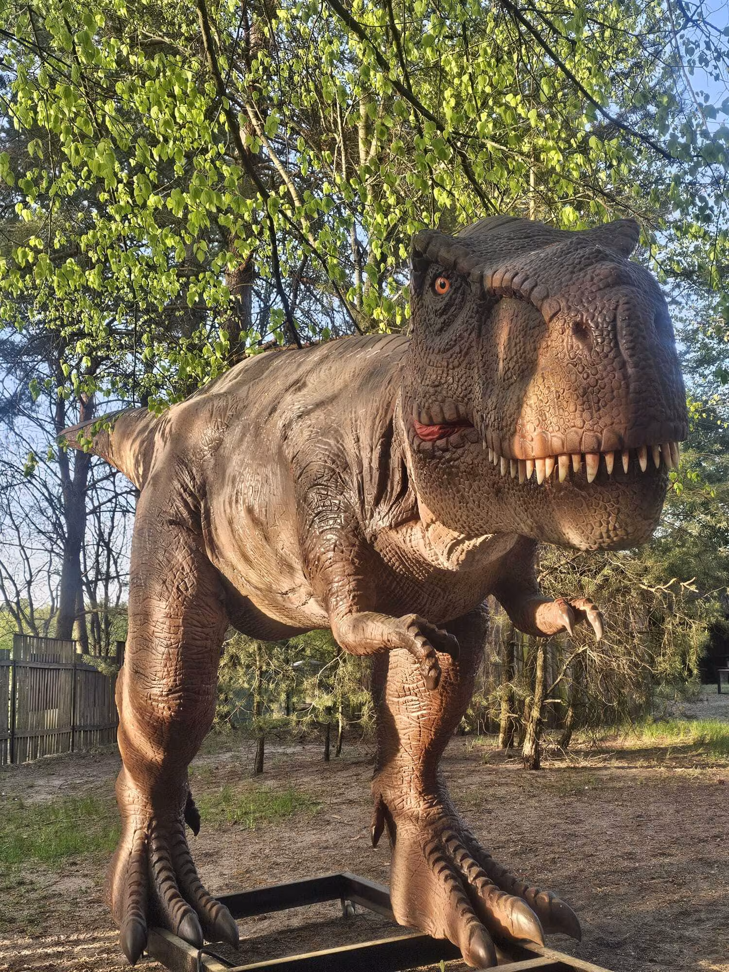 Jurajski Park Dinozaurów