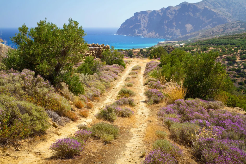 droga na plażę Kreta