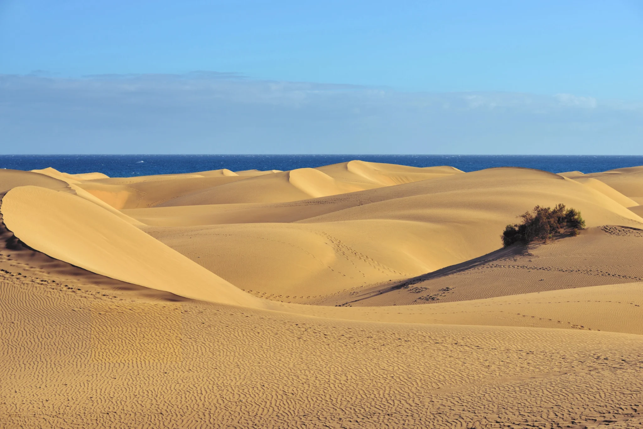 Dunas de Maspalomas