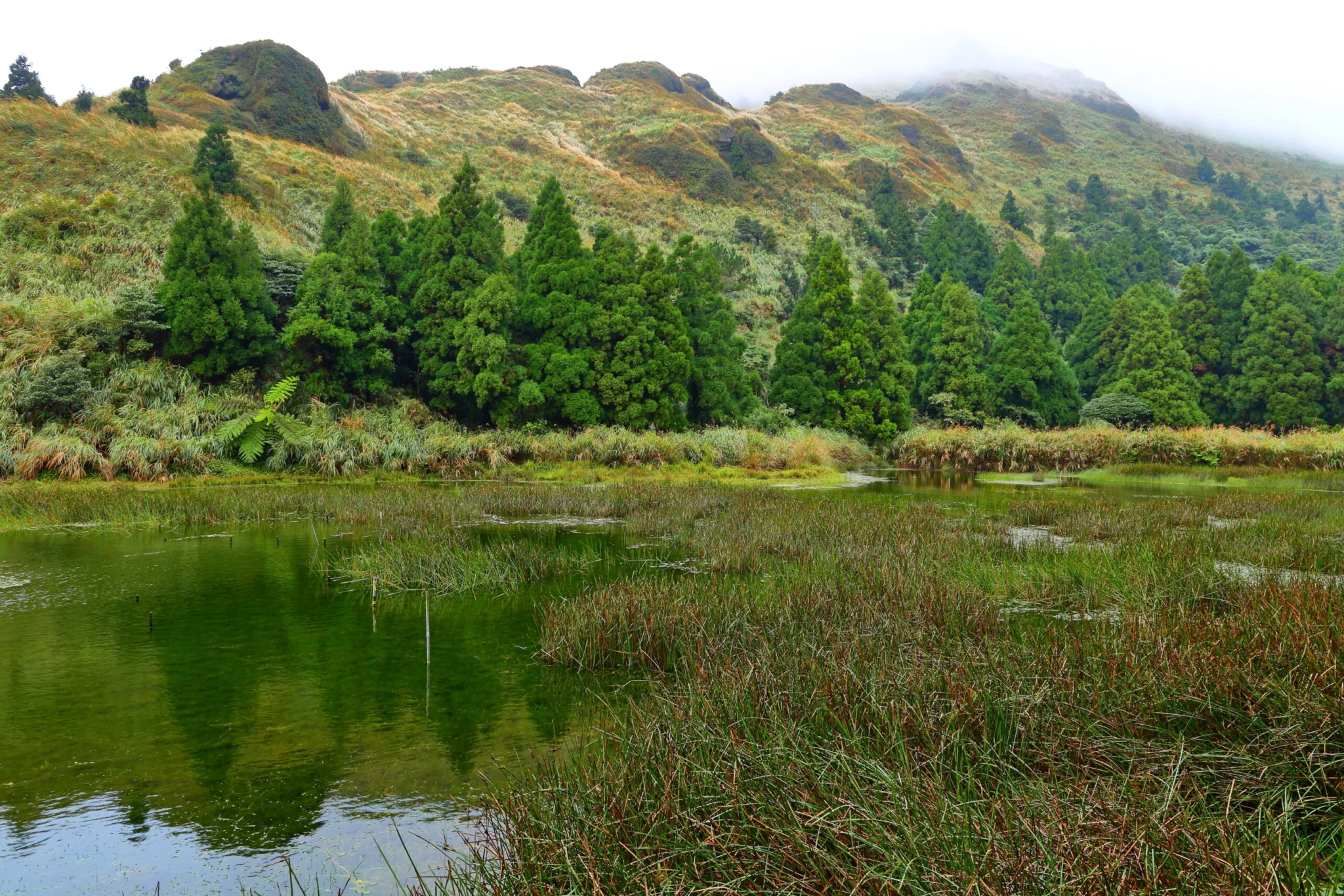 Park Narodowy Yangmingshan