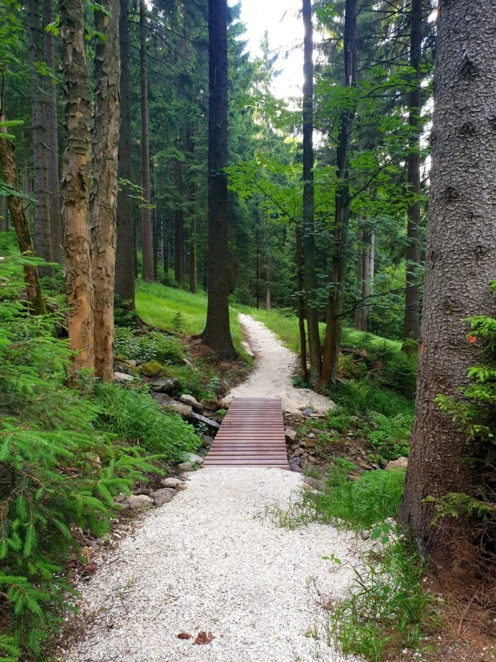 Bike Park Czarna Góra (NS Bikes)