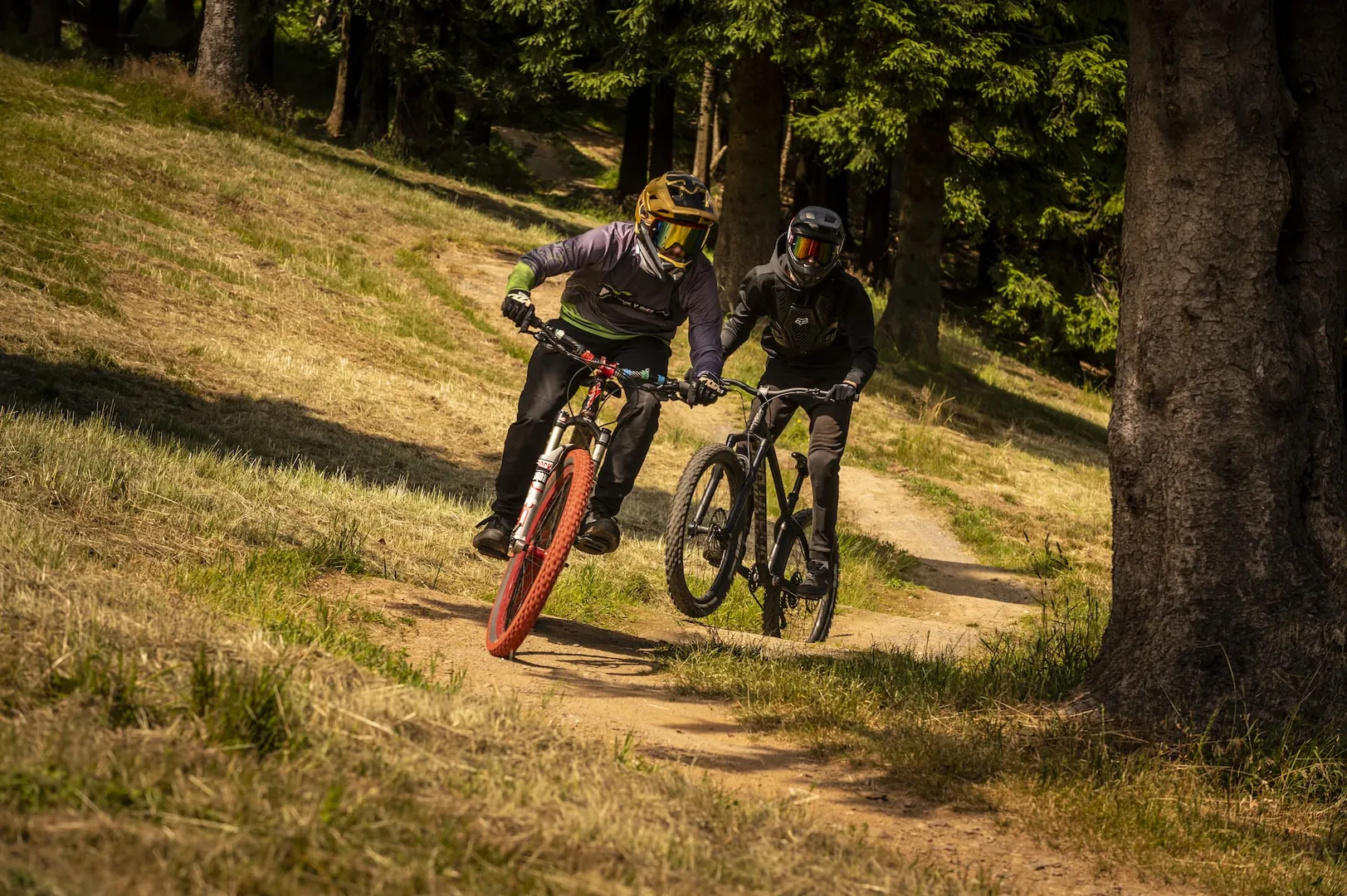 Family Bike Park Zieleniec