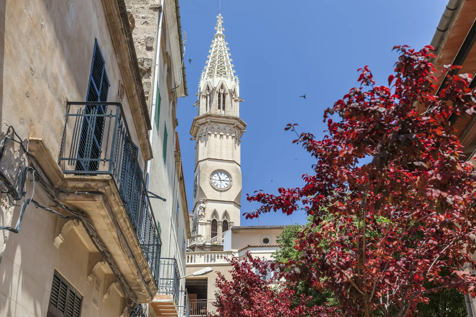 Manacor