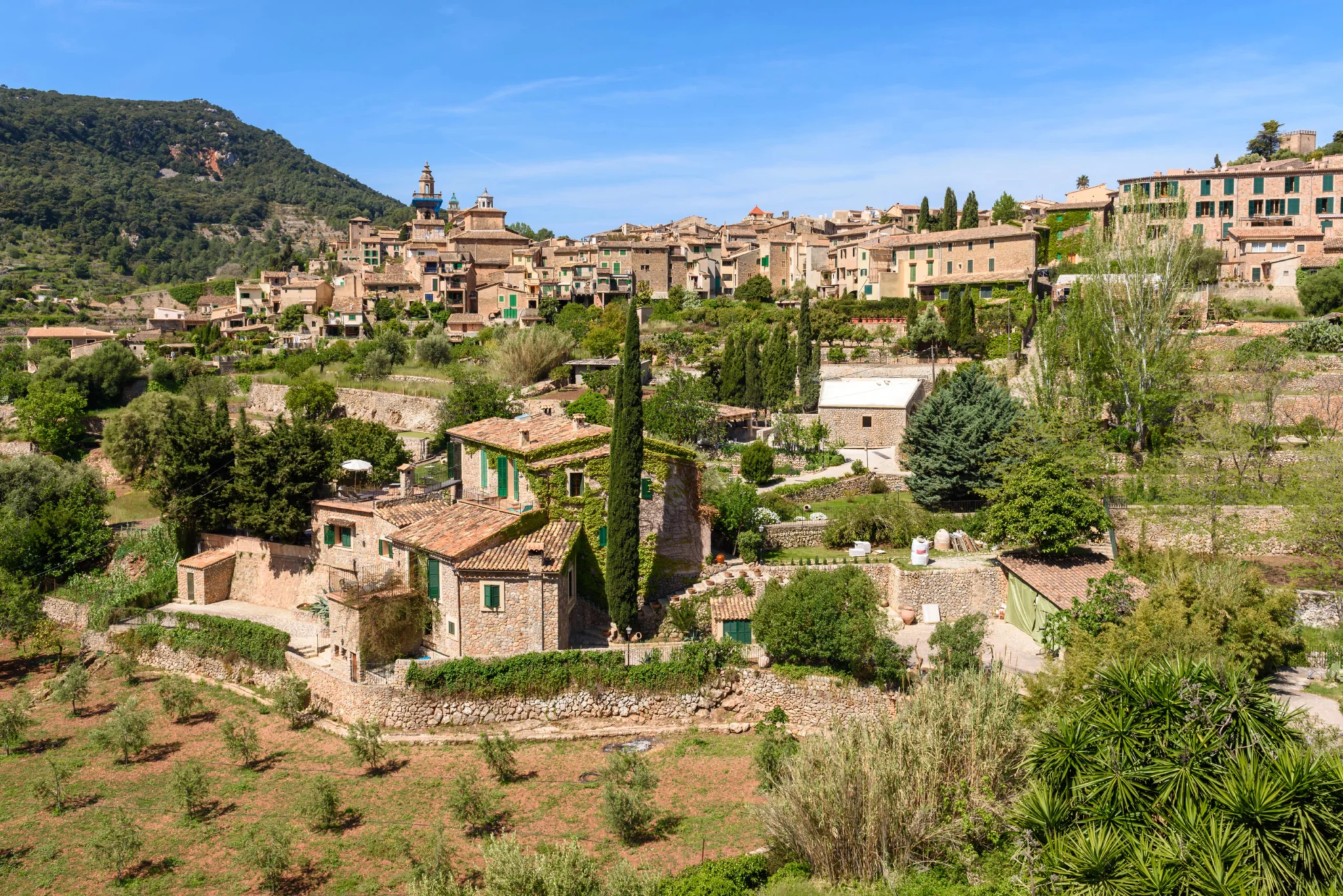 Valldemossa