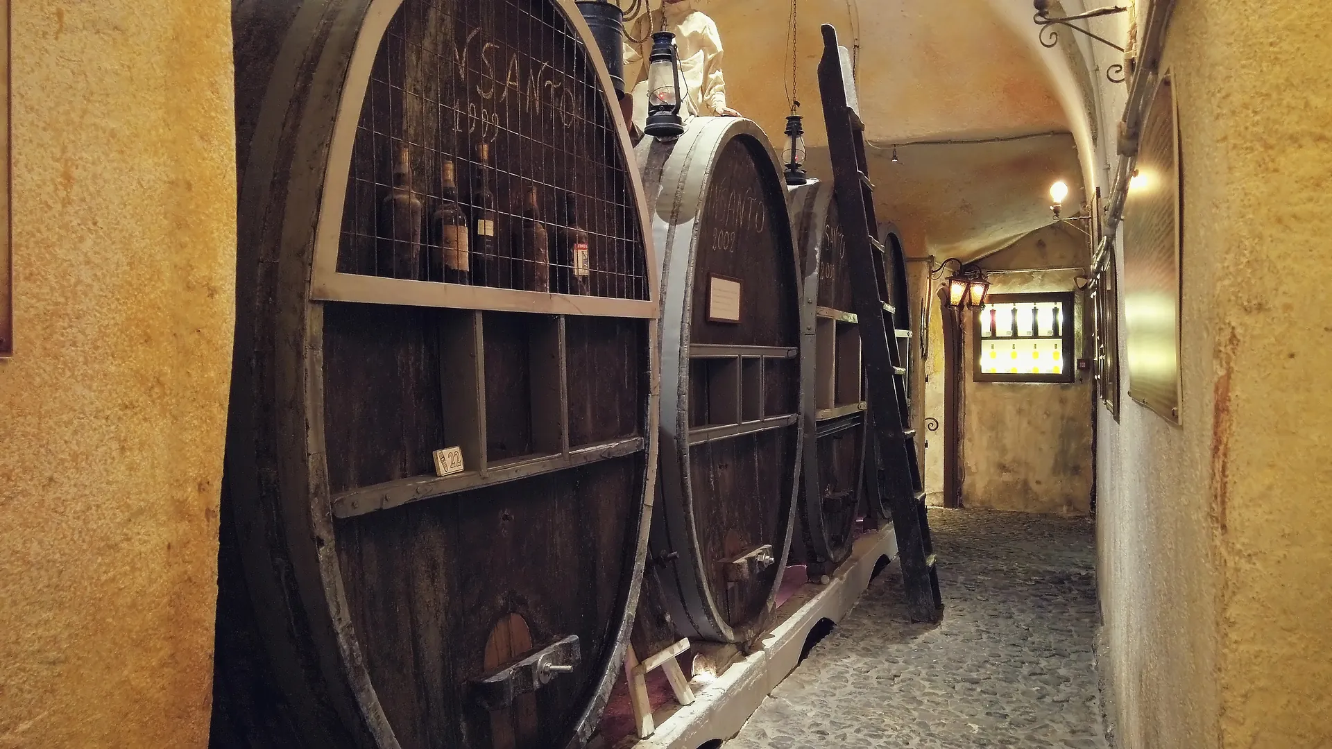 Muzeum Wina Koutsoyannopoulos