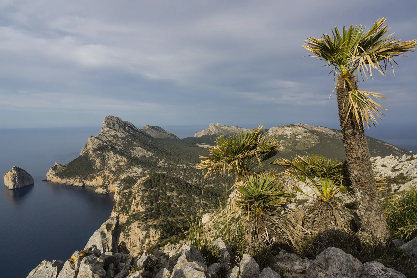 Caló des Moro