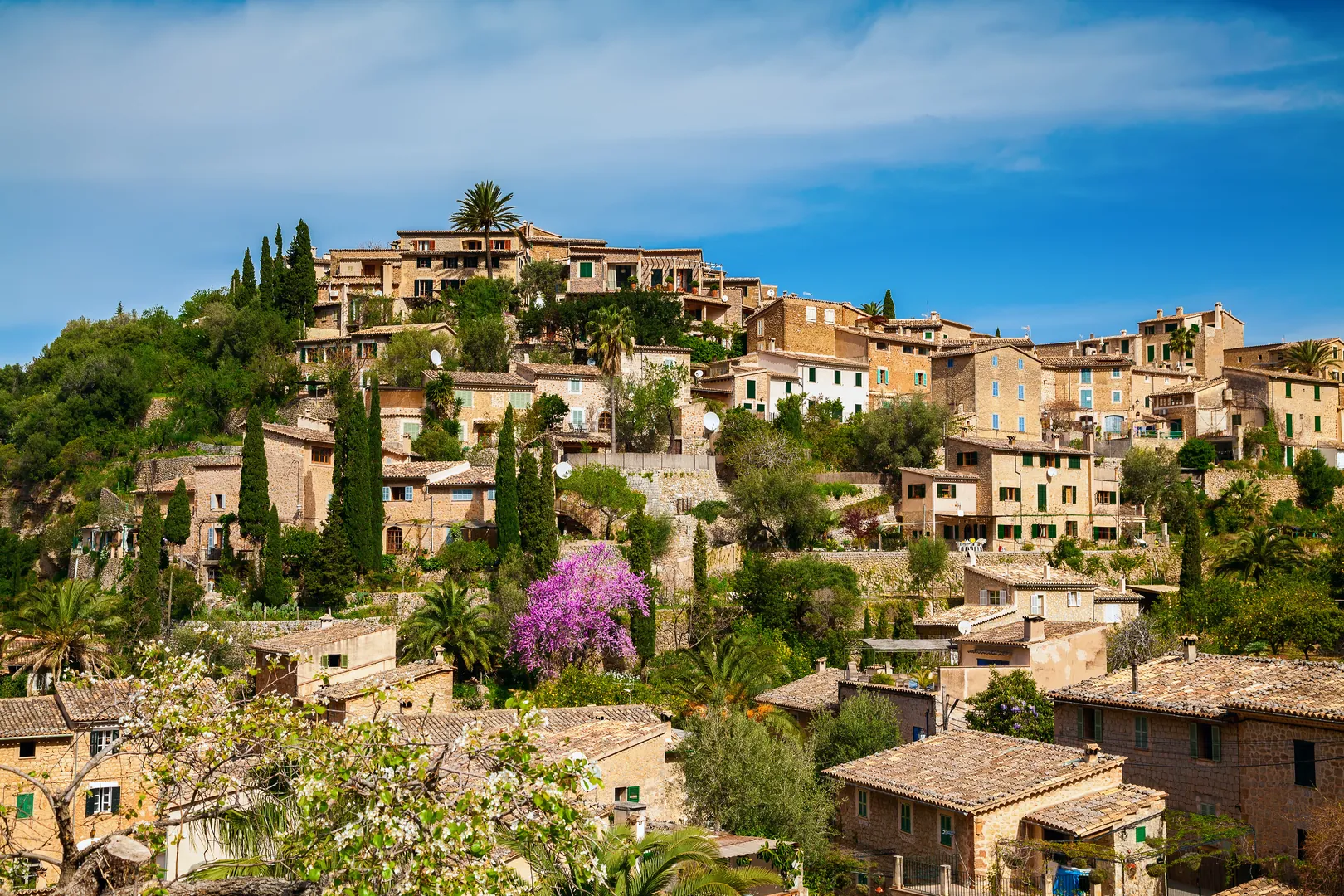  Deià 