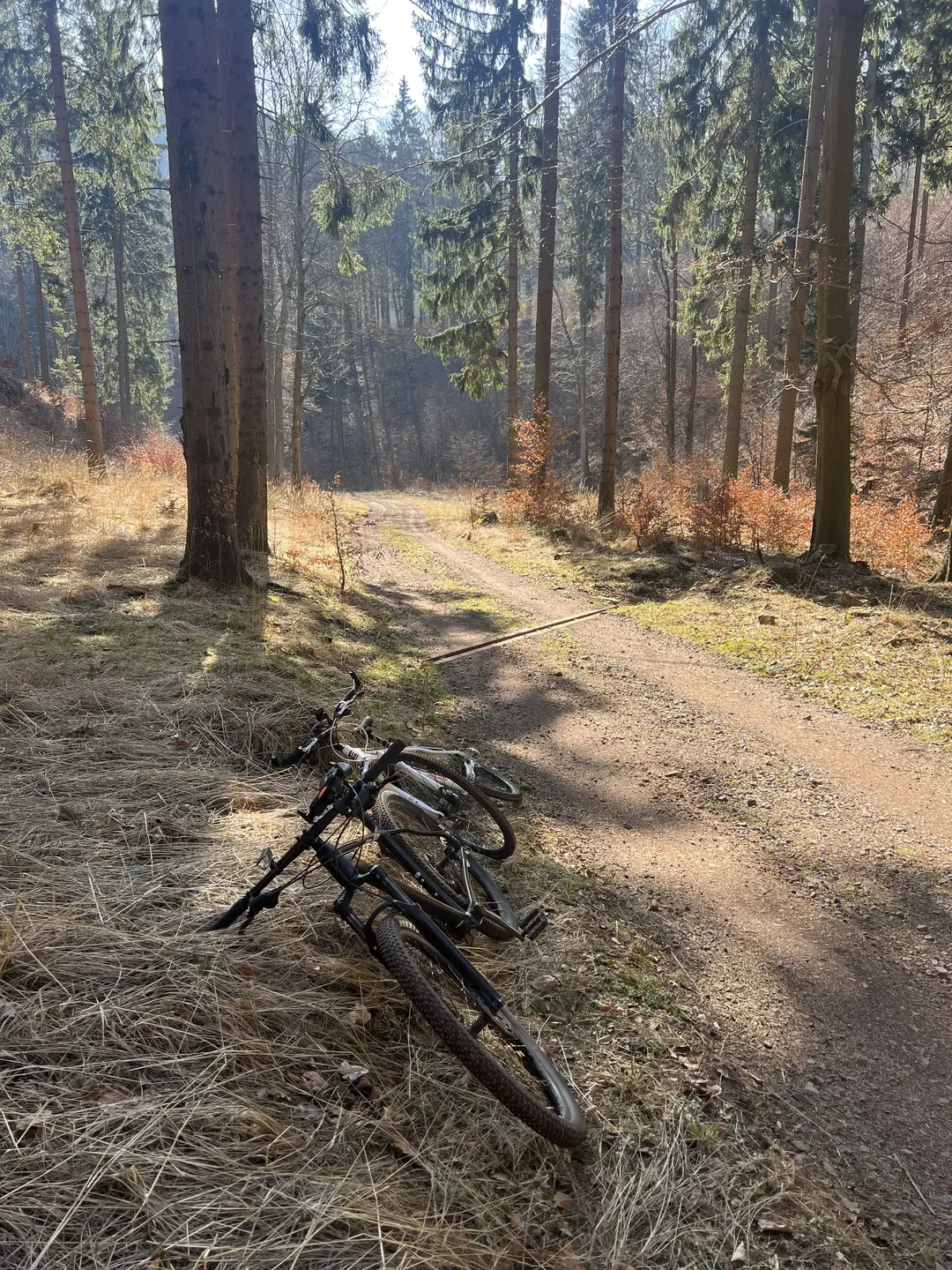 rower na trasie rowerowej