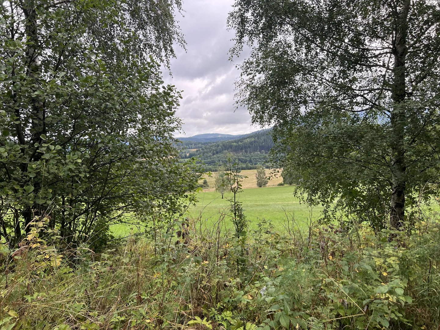widok na góry Dolny Śląsk