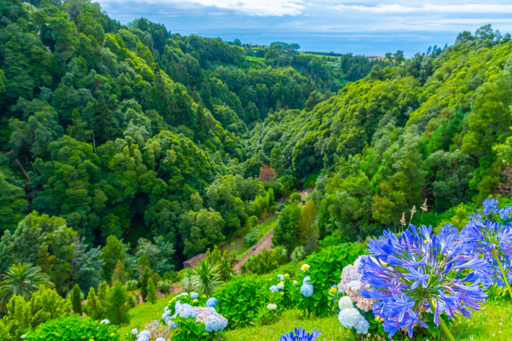 Parque Natural da Ribeira dos Caldeirões
