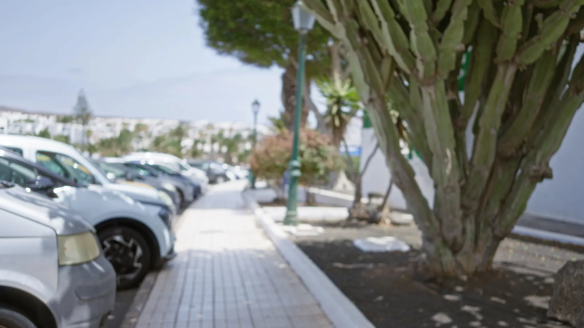 Lanzarote samochody