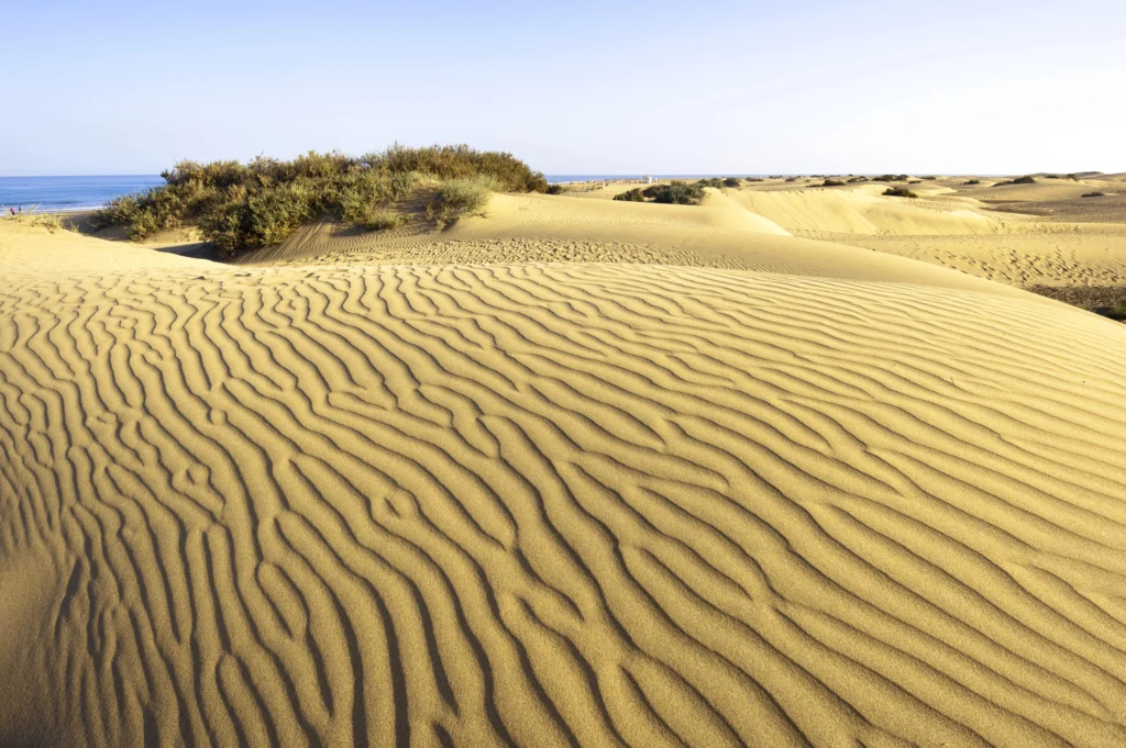 Maspalomas