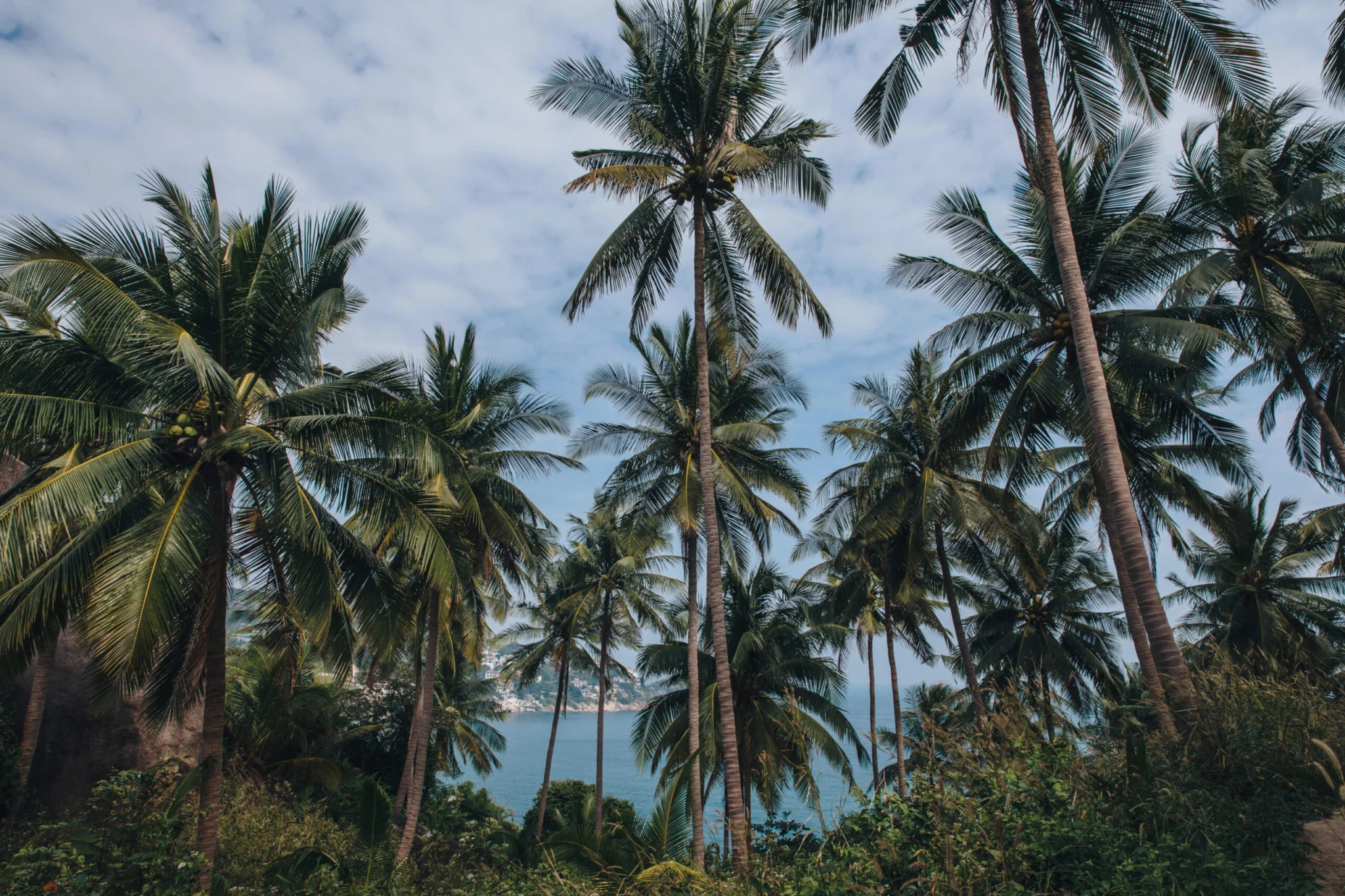 Ko Tao