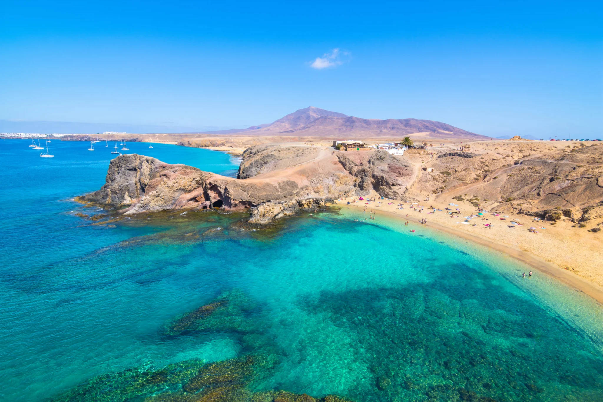 Papagayo