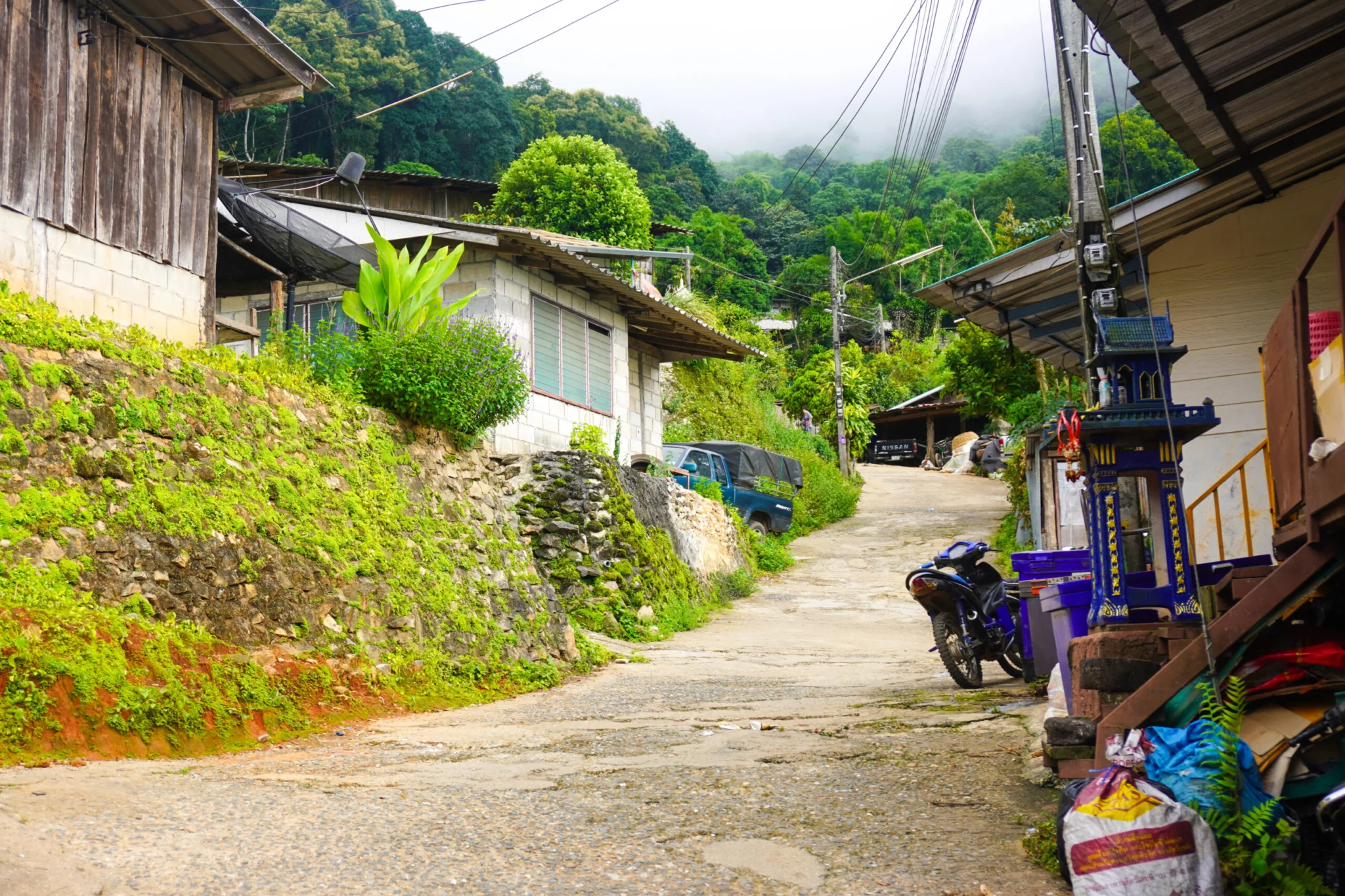 Doi Pui