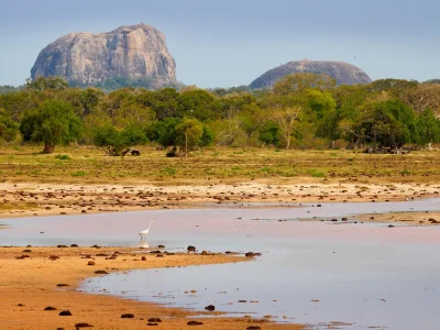 Widok Parku Narodowego Yala Sri Lanka