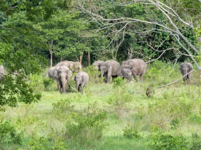Park Narodowy Kui Buri