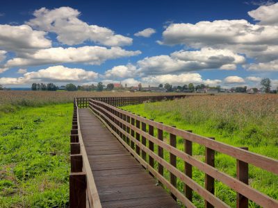 Narwiański Park Narodowy 